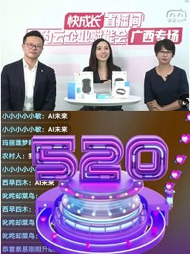 聚焦数字化转型 华为云企业赋能会广西专场首场直播举行