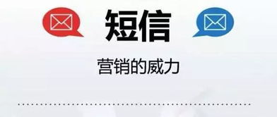 电商 短信营销 正当时,为啥你就是玩不转