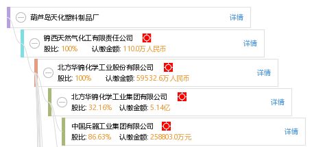 葫芦岛天化塑料制品厂工商与风险信息解析及短信营销策略